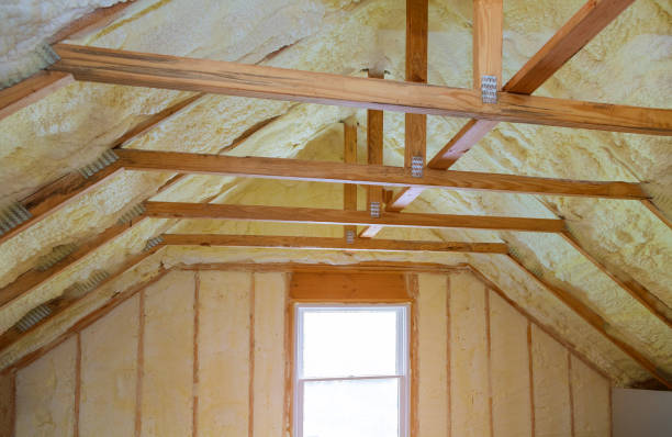 Best Specialized Insulation Services in Ravenna, OH