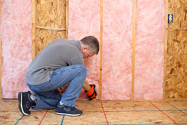Best Cellulose Insulation in Ravenna, OH