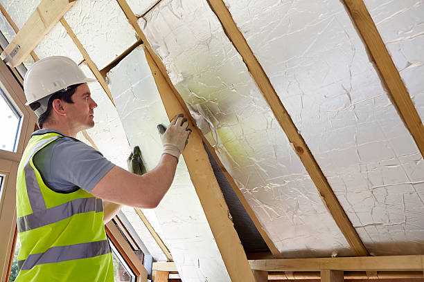 Best Geographic-Specific Insulation Services in Ravenna, OH