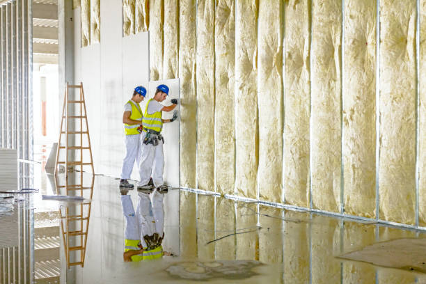 Best Residential Insulation in Ravenna, OH